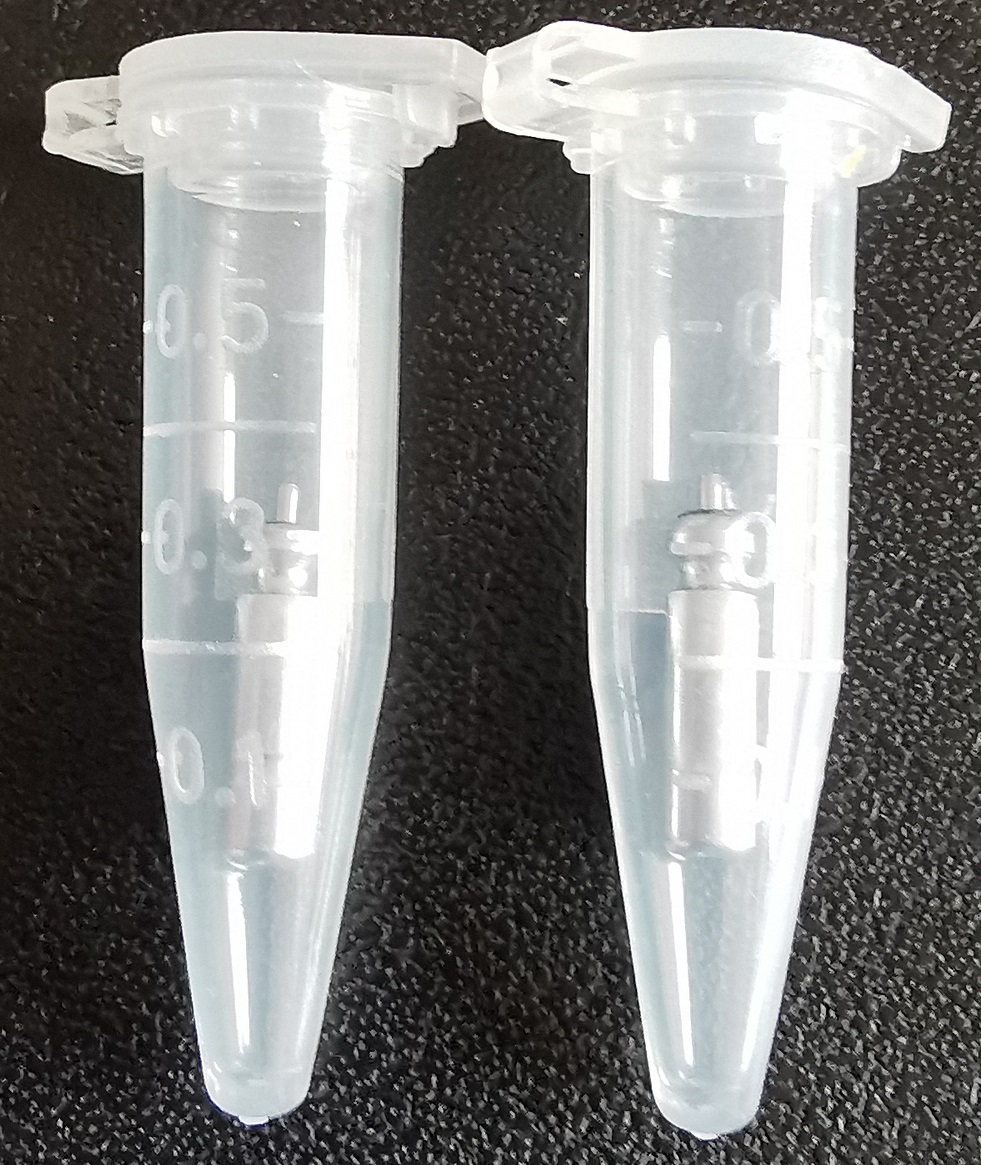 Artikelbild für Lihium Batterie for Glowstick 2Stck. im Baltic Kölln Onlineshop