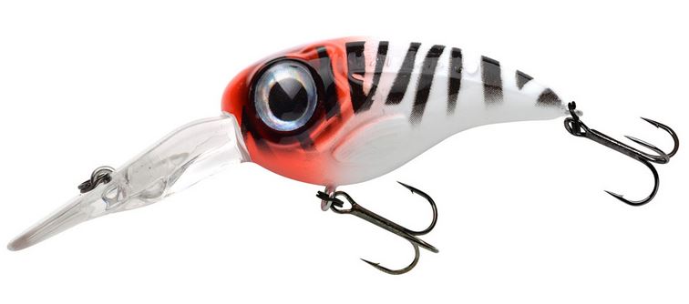 Artikelbild für Fat Iris 40 DR RH Tiger im Baltic Kölln Onlineshop