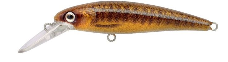 Artikelbild für Ikaru Micro Jerk 50 FS Varion im Baltic Kölln Onlineshop