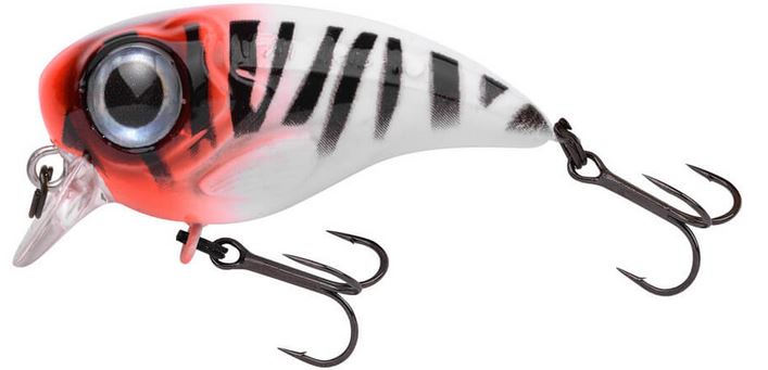 Artikelbild für Fat Iris 40  RH Tiger im Baltic Kölln Onlineshop