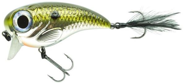 Artikelbild für Fat Iris 80 Shad im Baltic Kölln Onlineshop