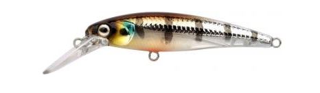 Artikelbild für Ikaru Micro Jerk 50 FS Buzzer im Baltic Kölln Onlineshop