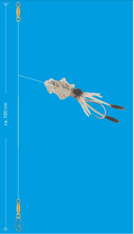 Artikelbild für Aquantic Octopus Leader Rig BSLUM im Baltic Kölln Onlineshop