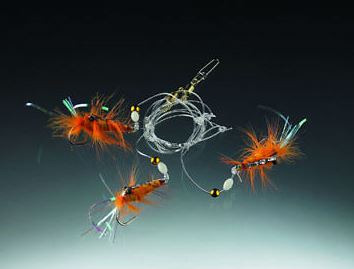 Artikelbild für Edition Garnelen System im Baltic Kölln Onlineshop