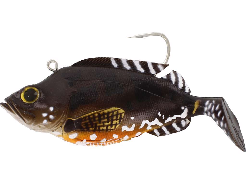 Artikelbild für Red Edd 460gr. 19cm Lively Scorp im Baltic Kölln Onlineshop