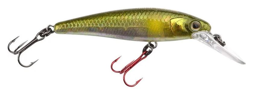 Artikelbild für Ikiru micro Jerk 50FS Ayu Minnow im Baltic Kölln Onlineshop