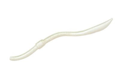 Artikelbild für Freestyle Twitch Worm Pearl 8 Stck. SB im Baltic Kölln Onlineshop