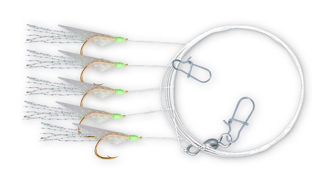 Artikelbild für Holografix Rig transparent im Baltic Kölln Onlineshop