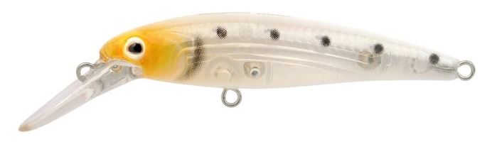 Artikelbild für Ikaru Micro Jerk 50 FS Shirazu im Baltic Kölln Onlineshop