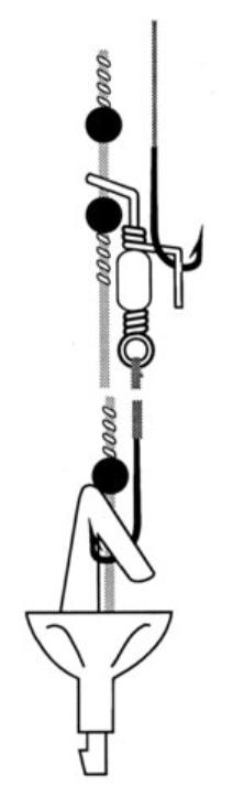 Artikelbild für Breakaway CS1  BKH Cascade Swivels 10 Stk. SB Verpackt im Baltic Kölln Onlineshop