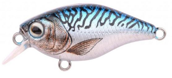 Artikelbild für Ikaru Crank Makrele im Baltic Kölln Onlineshop