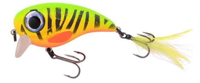 Artikelbild für Fat Iris 80 Fire Tiger im Baltic Kölln Onlineshop