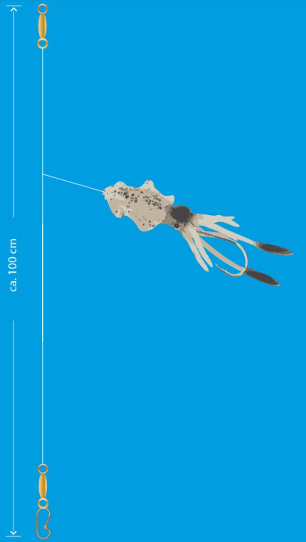 Artikelbild für Aquantic Octopus Leader Rig OSLUM im Baltic Kölln Onlineshop