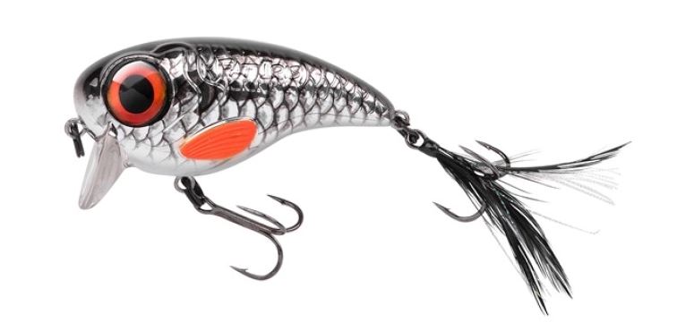 Artikelbild für Fat Iris 80 Shining Roach im Baltic Kölln Onlineshop