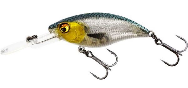 Artikelbild für Buzz Bite 3D Headlight im Baltic Kölln Onlineshop