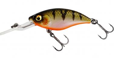 Artikelbild für Buzz Bite Bling Perch im Baltic Kölln Onlineshop