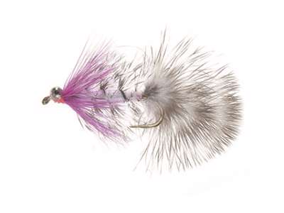 Artikelbild für Meerforellenfliege Polar Magnus#6 im Baltic Kölln Onlineshop