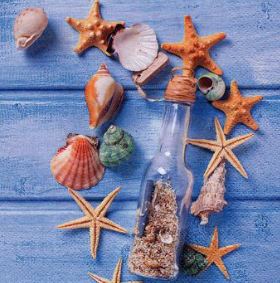 Artikelbild für Servietten 33cm DESIGN Flaschenpost & Muscheln im Baltic Kölln Onlineshop