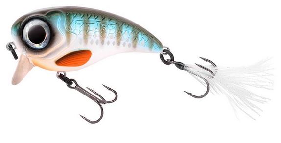 Artikelbild für Fat Iris 80 Herring im Baltic Kölln Onlineshop